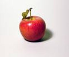 What Kind Of Fruit Are You?