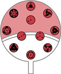 Siapakah Kamu Kalau Dari Klan Uchiha?