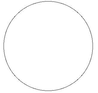 What Shape Are You?