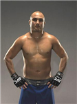 Welcher Mma Kämpfer Bist Du ?