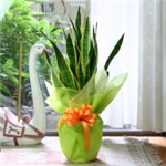 Gifts For Lasting Memories