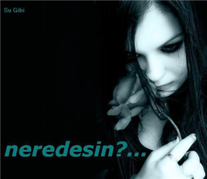 Halin Mutlu Mu Mutsuz Mu