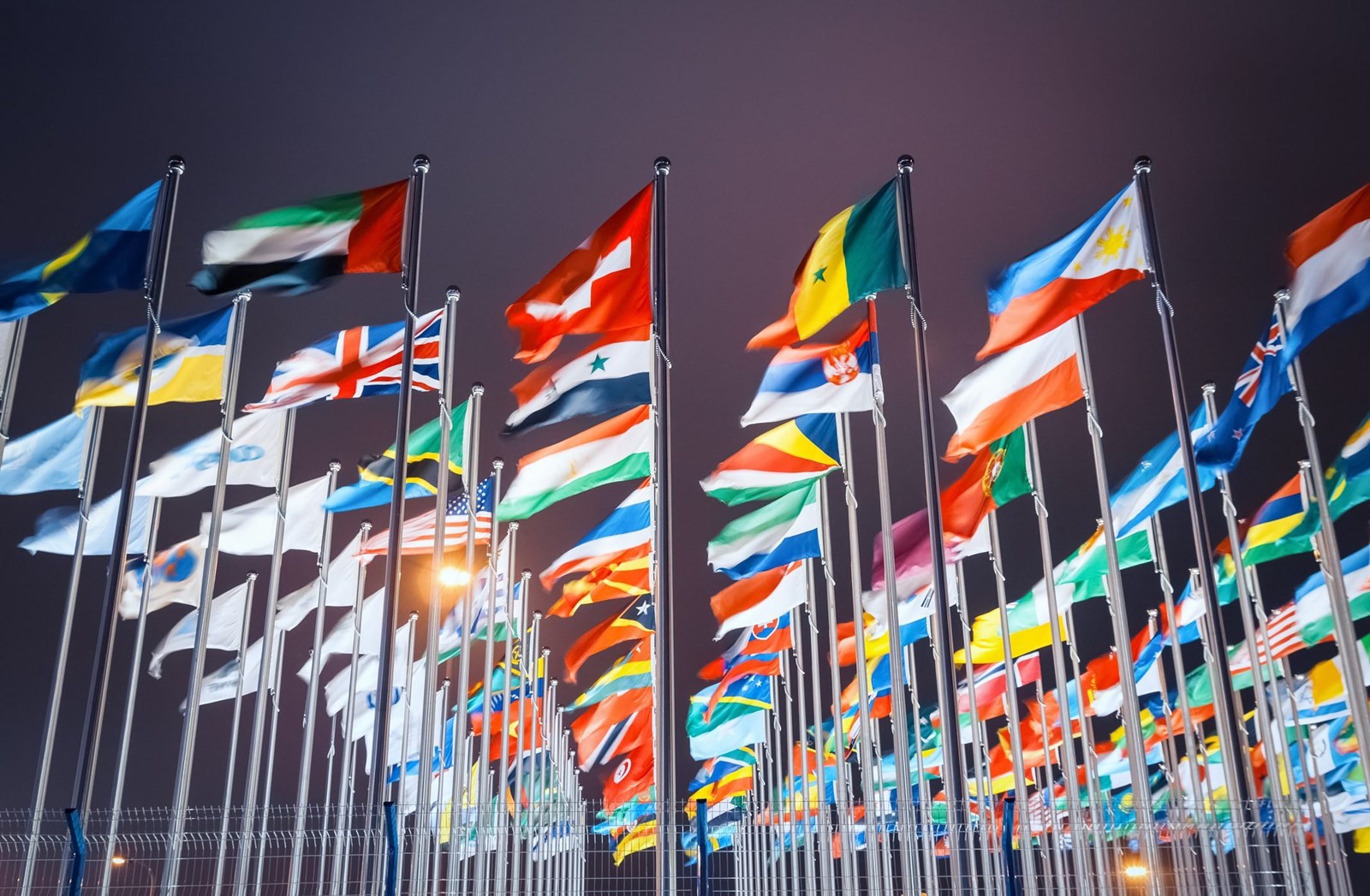 Do You Know The Flags?