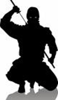 Are You A Ninja?