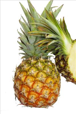 Which Is The Best Fruit