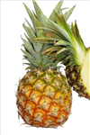 Which Is The Best Fruit