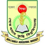 Sau আপনাকে কি দিয়েছে...