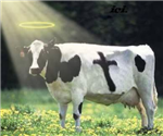 Knowing Your Spiritual Quotient