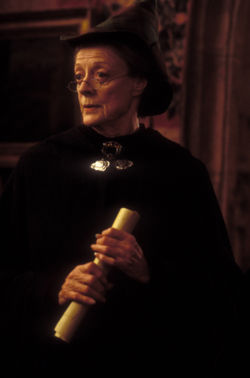 Hangi Harry Potter Karakterisin ?