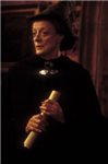 Hangi Harry Potter Karakterisin ?