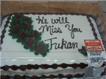Should Furkan Go Back To Usa İn 2010 Summer??