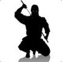 What Kind Of Ninja Are You?