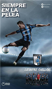 ¿Qué Jugador De Gallos Eres?
