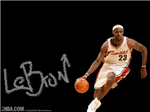 Kral'mı(Lebron James),Kara Mamba'mı(Kobe Bryant)?