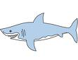 Fishville Gifts