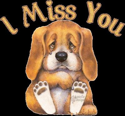 Does Your Friends Miss You?