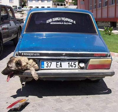 Ne Kadar Havalısın