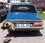 Ne Kadar Havalısın