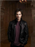The Vampire Diaries - Damon Or Stefan?