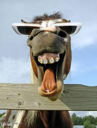 laugh :D 