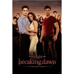 The Twilight Saga Breaking Dawn Part 1