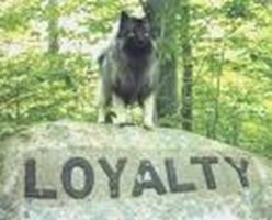 What Is Your Best Quality?