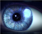 Test Your Information 