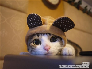 ¿Que Tan Tierno A Eres?