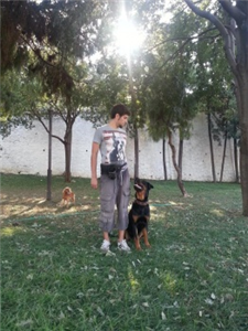 Hangi Köpek Sana Ait Acaba