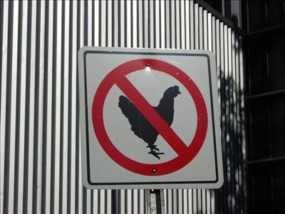 Are You A Real Chicken Lover?