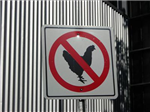 Are You A Real Chicken Lover?