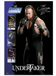 Hangi Smackdown Karakterisin