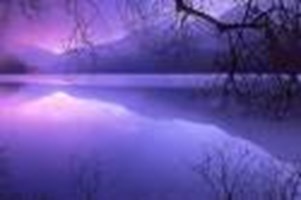 Are You An Indigo?