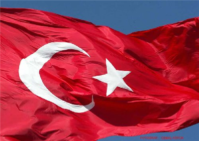 Evet tüküm