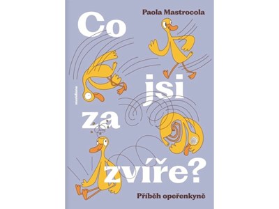 Co jsi za zvíře?