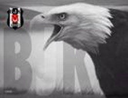 Aslında Hangi Takımlısın
