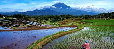Seberapa tau kamu tentang desa pakaron 