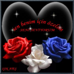 Kim Daha Şanşlı