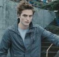 What Cullen Boy Is Right For You?