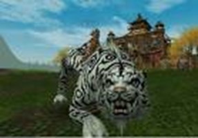 Silkroad Online De Hangi Uniquesin ?