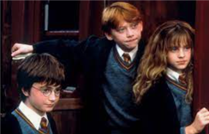 Zorlu Harry Potter Testi