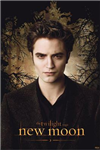 Edward Vs. Jacod Vs. Alice
