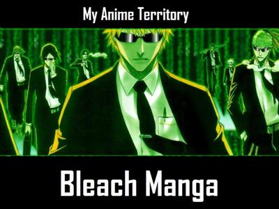 Bleach Test!
