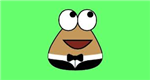 Welcher Pou Passt Zu Dir ?
