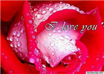 The Love Proposer