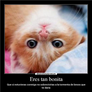 Que Tan Bonita(O) Eres