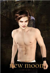Who Is Hotter?
