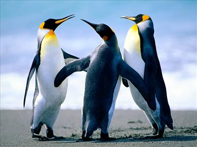 How Cool Are You?