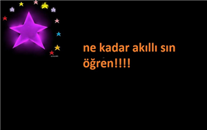 Gerçekten Salak Mısın Akllı Mı?