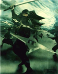 How Ninja Are You?